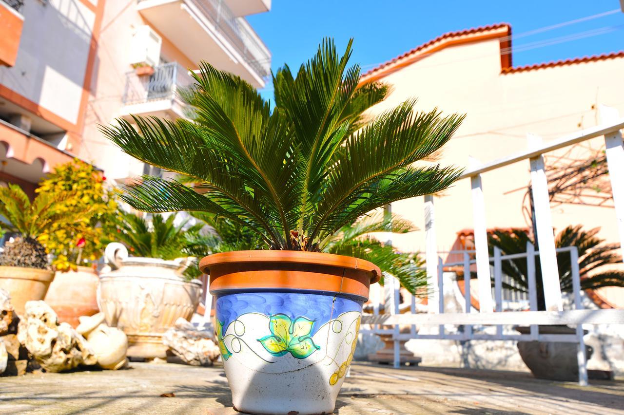 كاستيلاّماري دي ستا B&B Le Cycas المظهر الخارجي الصورة