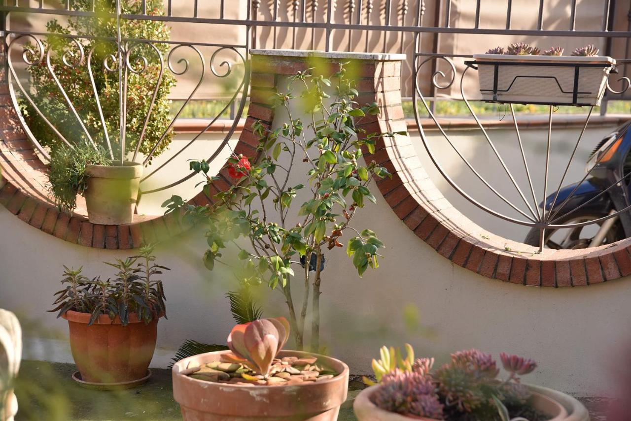 كاستيلاّماري دي ستا B&B Le Cycas المظهر الخارجي الصورة