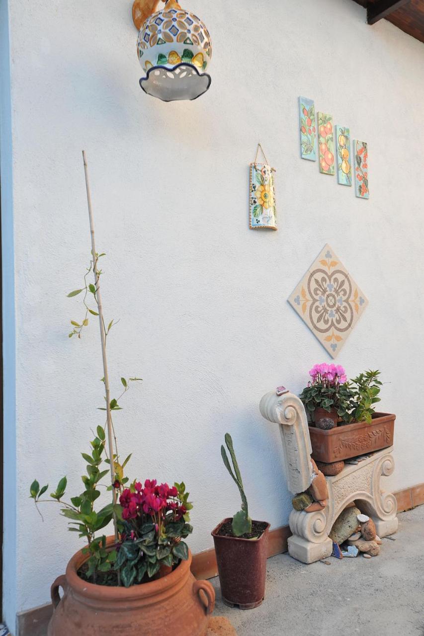 كاستيلاّماري دي ستا B&B Le Cycas المظهر الخارجي الصورة